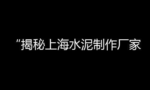 上海水泥路沿石怎么铺的、上海水泥地面磨平价格查询、上海水泥砖购买渠道有哪些、上海水泥沙浆厂家有哪些