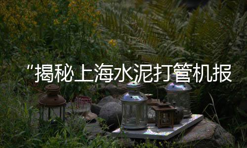 上海卸石子码头现场图片、上海哪里买小石子、上海石子仓大概费用、上海先进石子仓单价