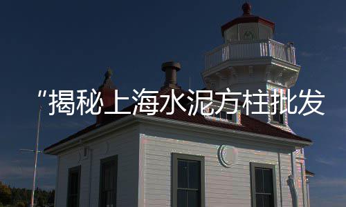 上海水泥砖环保检查、上海水泥使用量多少吨、上海水泥自流平哪家实惠、上海水泥施工队电话地址
