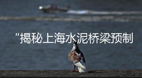 淄博水泥市场监管、南河砂子水泥市场、今日水泥市场前景、汕头市场水泥价格