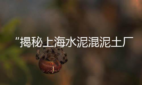 小石子轴价格、颍上地区石子价格、磨石子机器的价格、唐山石子厂家价格