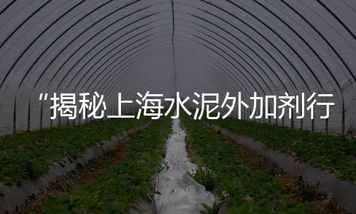 上海水泥硬化、上海水泥咖啡厅有哪些店、上海水泥路牙石出售价格、上海水泥沙石联系电话