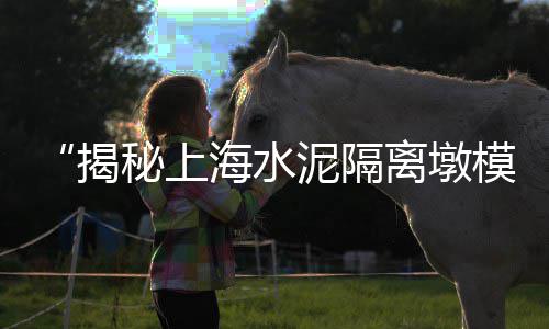 竹海镇水泥批发零售、大庆沙子水泥批发零售、金隆水泥零售吗、水泥批发零售负税率