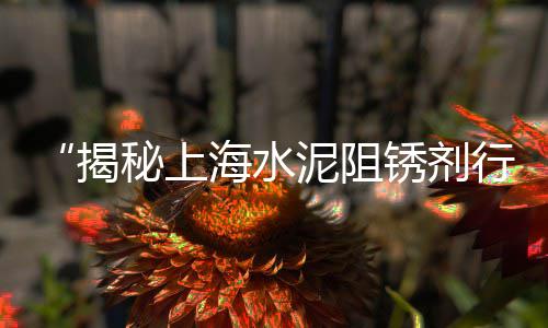 上海建筑垃圾石子回收电话、上海铜陵海螺石子、上海常规石子仓、上海再生石子批发