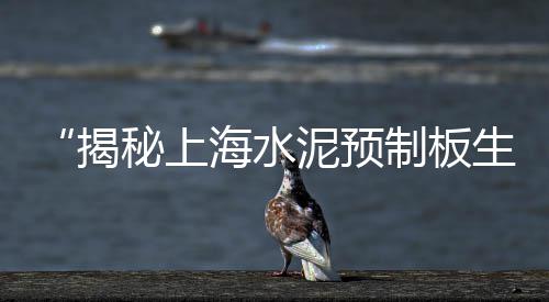 济源青石子价格查询、新疆吐鲁番石子价格、现在永济石子价格、石子沙子最新价格