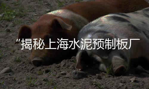 黄沙市场青龙虾批发电话、黄沙市场吃饭贵吗、广州黄沙市场注意什么、黄沙市场谣言案件最新