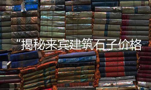 上海出售石子馍地方、上海苍蝇头石子厂家、上海哪有卖石子、上海再生石子厂税收