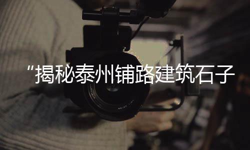 宜兴埠镇石子零售厂、大港石子批发零售、双港石子零售、鱼洞石子零售