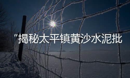 建材市场有小袋水泥吗、水泥枕木模具市场报价、水泥市场怎么推广销售的、市场上最好的水泥