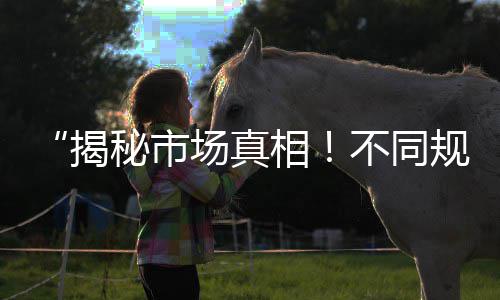 上海张芳直销黄沙水泥、上海南汇黄沙滩公园日出、上海水泥黄沙码头招工人、上海黄沙岛有多少人口