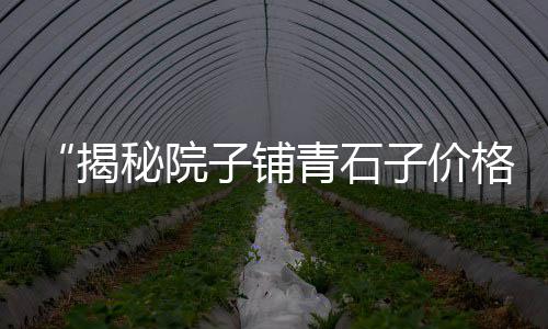 贾汪区石子批发市场在哪、水磨石石子材料批发、邳州批发石子市场地址、历城区灰石子厂家批发
