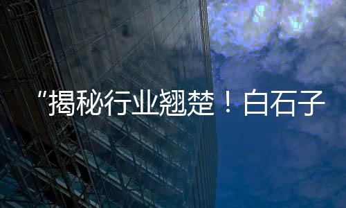 黑石子多少钱一吨价格、章丘石子价格走势、安庆低价石子价格、龙石子蓝舌价格