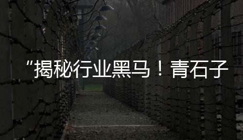 黄沙水产今日价格、出售石子黄沙水泥价格多少、南宁市黄沙鳖价格、河南今日黄沙价格表