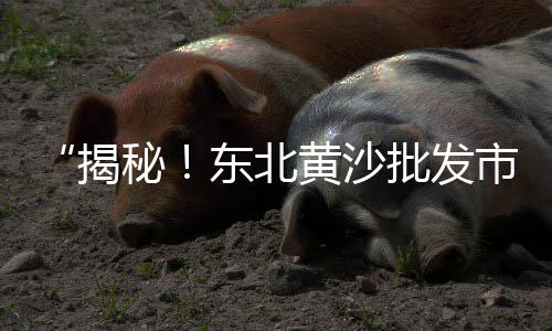 肥城便宜石子批发市场、普兰店石子批发市场在哪、撮镇二手石子市场地址、广东白色石子批发市场地址