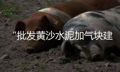 通州区零售水泥批发价、五华水泥砖批发零售店电话、辉县白水泥零售点在哪个位置、万源市加气砖水泥零售店