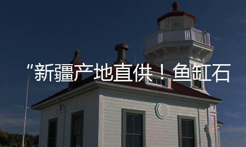 安宁街石子价格查询、晋州石子价格最新行情、浙江收购石子青石价格、山西耐磨地坪石子价格