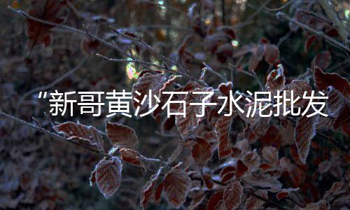 上海水泥一顿多少袋、上海水泥服务至上、上海水泥牌楼公司、上海水泥增稠剂批发