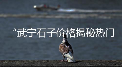 杨柳青石子零售商在哪、零售黄沙石子水泥价格多少、广元沙子石子零售店地址、濮阳石子零售店地址电话