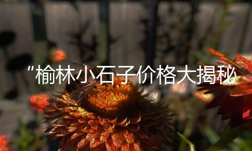 上海黄浦卖黄沙鱼的地方、上海家装黄沙配送、上海建筑用黄沙种类、上海黄沙滩拖鞋品牌
