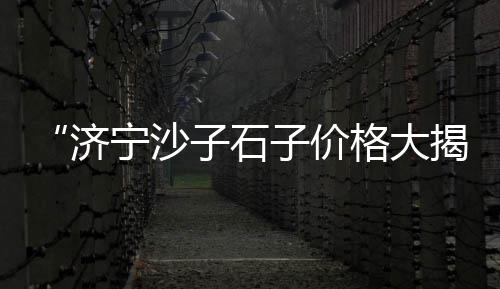 石子陶粒水泥批发零售、石子黄沙属于零售、漯河石子零售地址、石子料批发零售