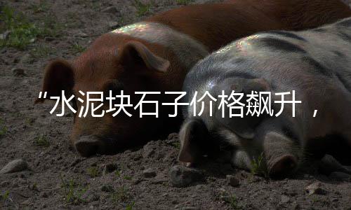 光伏水泥墩墩子价格、安庆水泥斗拱价格优惠吗、水泥桩管桩价格计算、晋城水泥压力管价格多少