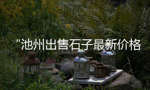 罗庄零售石子电话、零售水泥沙子石子厂家电话、双街镇石子零售店在哪里、石子零售多少钱一袋价格