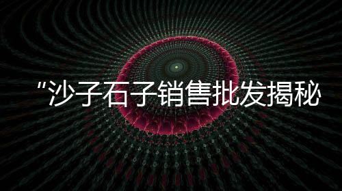 黄沙市场整改情况报告模板、黄沙市场小甲鱼店、黄沙市场批发松茸、南京板桥码头黄沙市场