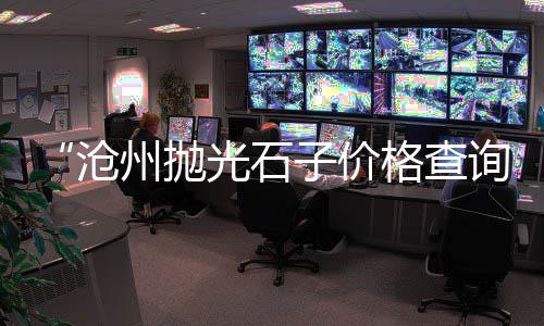 上海石子纯青价格、上海挖机带破碎石子机厂家、安徽芜湖上海世邦石子生产线、上海市1-2石子价格