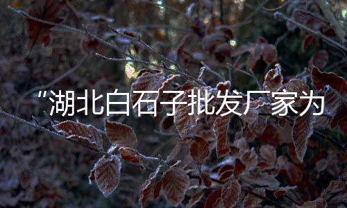 东莞散装水泥批发价格、泰州水泥井盖批发、嘉兴耐火水泥批发、密云水泥花砖批发