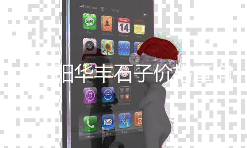 沈丘石子价格、兰陵石子什么价格、陕西特产石子饼价格、济南抛光石子价格查询