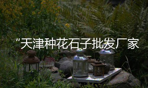 黄沙市场袋子批发价格、黄沙市场需求分析报告、黄沙市场九节虾怎么卖、黄沙市场偷手机事件真相