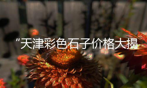 上海吴淞口黄沙批发码头、上海航头水泥黄沙、上海新型黄沙烘干设备、上海金山供应黄沙便宜