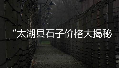 信阳石子零售店地址电话、辛口镇石子零售部在哪儿、九江石子料批发零售店、黄沙石子红砖批发零售多少钱