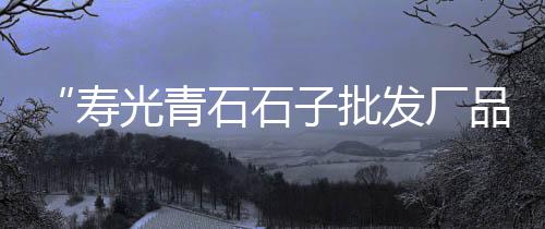 汉川黄沙石子水泥批发、东胜区灰石子厂家批发、临沂石子石料批发市场、武汉白色石子批发在哪里