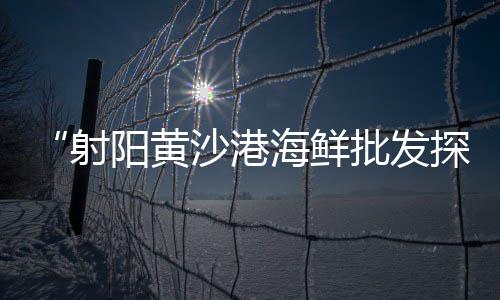 临安黄沙水泥砖块零售、狸桥水泥零售、零售水泥 公司 邮箱、浦江水泥零售