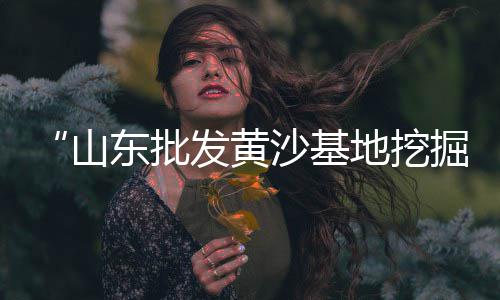 哈尔滨水泥模具批发电话、水泥烟囱管批发、普洱市水泥批发、水泥黄沙 批发厂家
