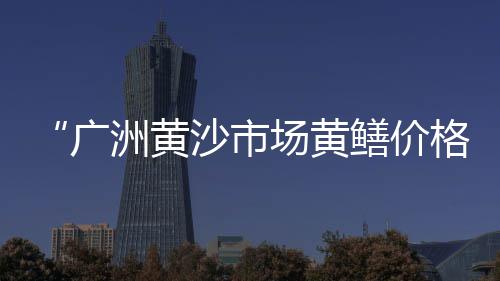 滕州建材市场水泥、港口市场水泥店地址查询、水泥如何去打开市场、会东水泥批发市场