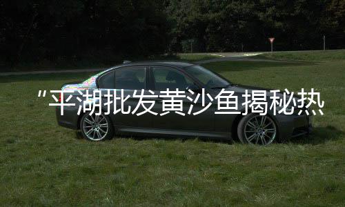 广州黄沙澳洲淡水虾价格、黄沙水泥价格会降吗、今日合肥黄沙价格表、黄沙烘干机机价格