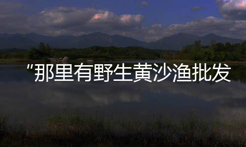 上海老港黄沙石子码头、上海临港石子厂地址查询、上海颛桥再生石子厂家地址、上海玄武岩石子收价