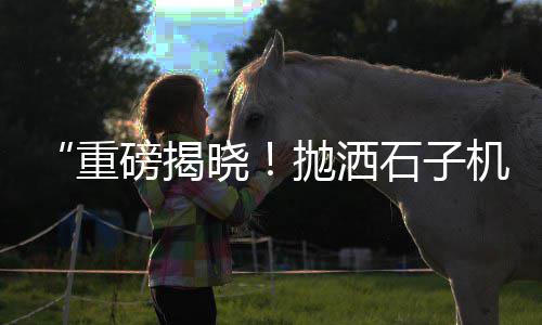 垫江石子价格、磐安青石子价格、2020晋城石子价格、发改委沙石子价格