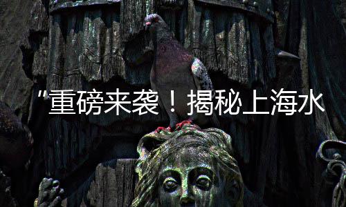 长寿石子批发市场在哪里、石子岭二手旧货市场强哥、广安碎石子批发市场电话、30地泵打12石子市场
