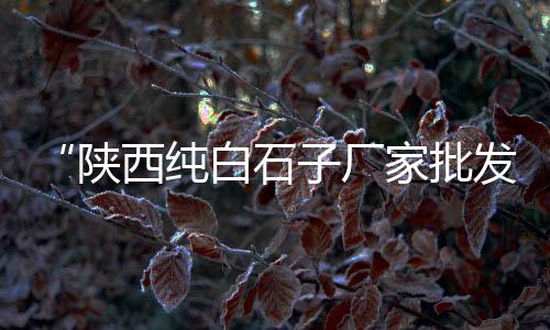 黄沙喷砂除锈机器价格多少、黄沙精品砂石价格表、宜春水泥黄沙价格查询、黄沙水产市场瓜子斑鱼价格