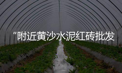 复康路石子批发零售、东丽石子零售、淄博石子零售地址、陕西零售袋装石子