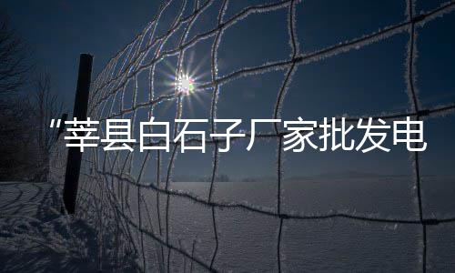 临沂批发水磨石子、杭州碎石子批发厂家地址、石子批发厂家公司简介、忠县石子材料批发市场
