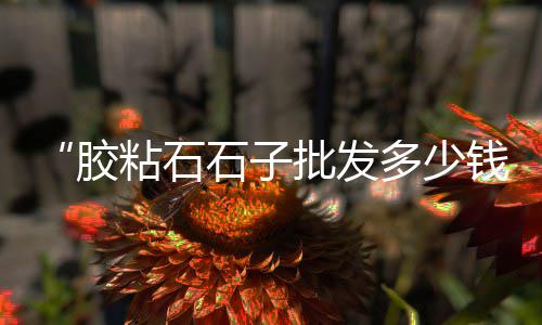 浙江石子厂家批发、各种石子批发铺路石、户县批发石子馍在哪里、东河区石子厂家批发