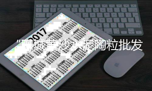 专业破碎石子价格、12石子石子整形机价格、12的石子和13的石子价格、作石子馍用的黑石子价格