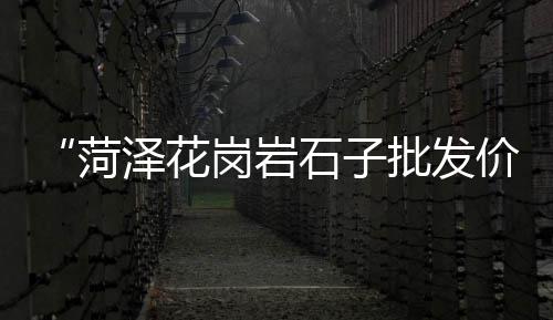 水泥建材市场现状、非洲水泥厂市场、坦桑尼亚水泥市场、整体水泥房市场