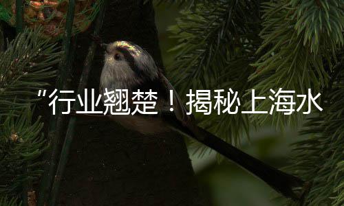 天河水泥零售公司、商丘水泥沙子少量零售店、白云水泥零售多少钱一袋、滦南县城水泥零售电话号码