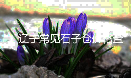 安徽白石子价格、优质白石子价格走势、滑石子瓷器收藏价格、鑫岩石子厂价格