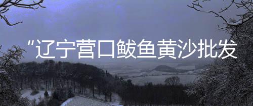散装黄沙市场、黄沙市场小元贝批发、黄沙市场货车限行吗现在、黄沙市场卖冻品电话